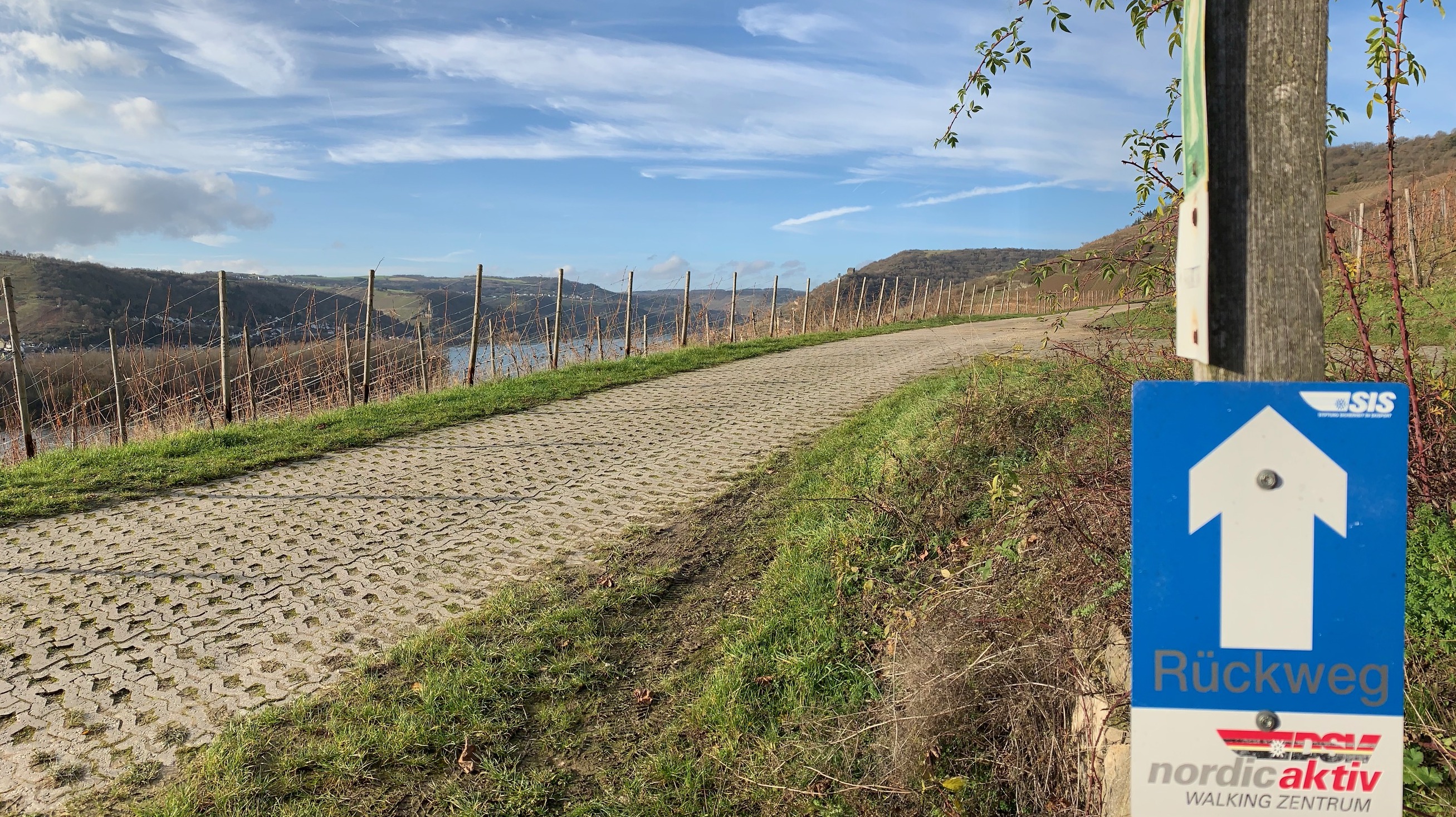 Das Nordic Walking Zentrum rund um Lorch mit wunderbaren Ausblicken.